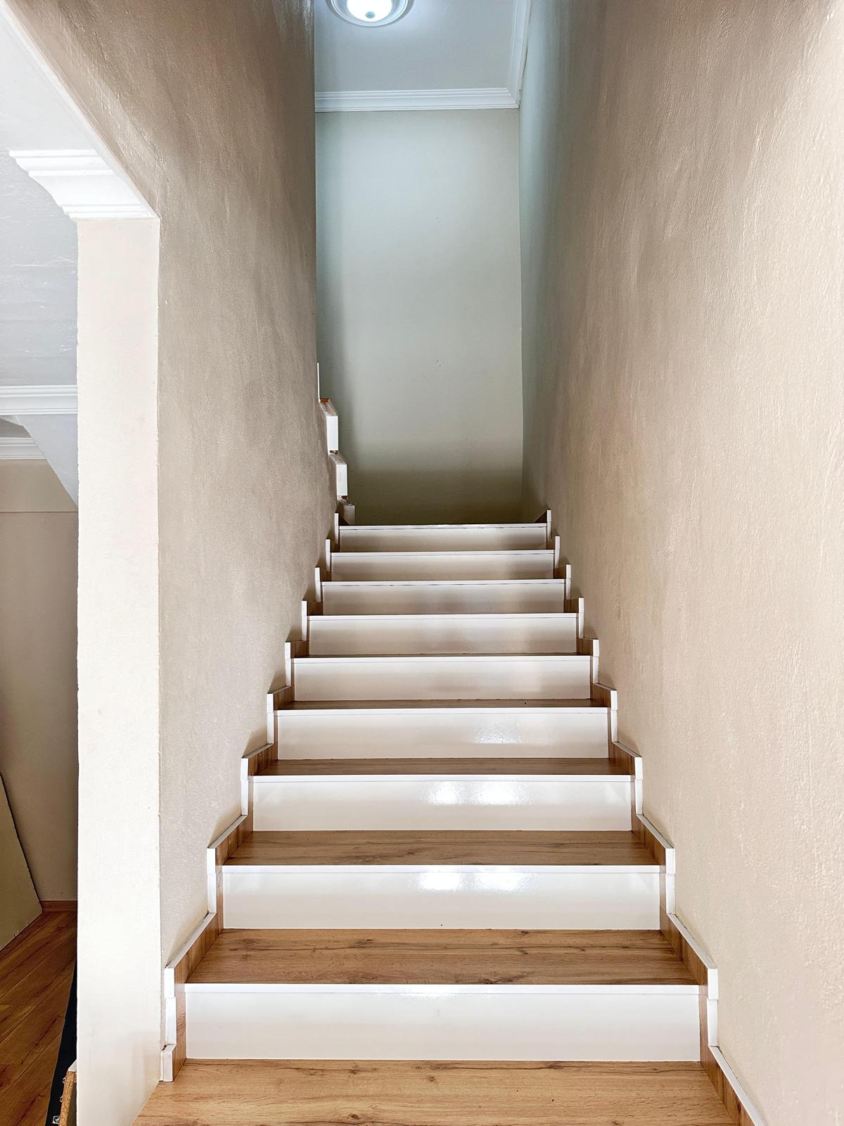 HİSARKAYA KÖYÜ MÜSTAKİL BİNA VE FINDIK BAHÇESİ